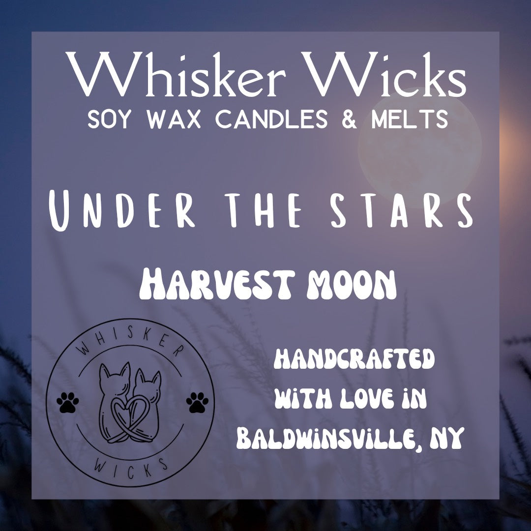 Whisker Wicks Summer Candles - Under the Stars
