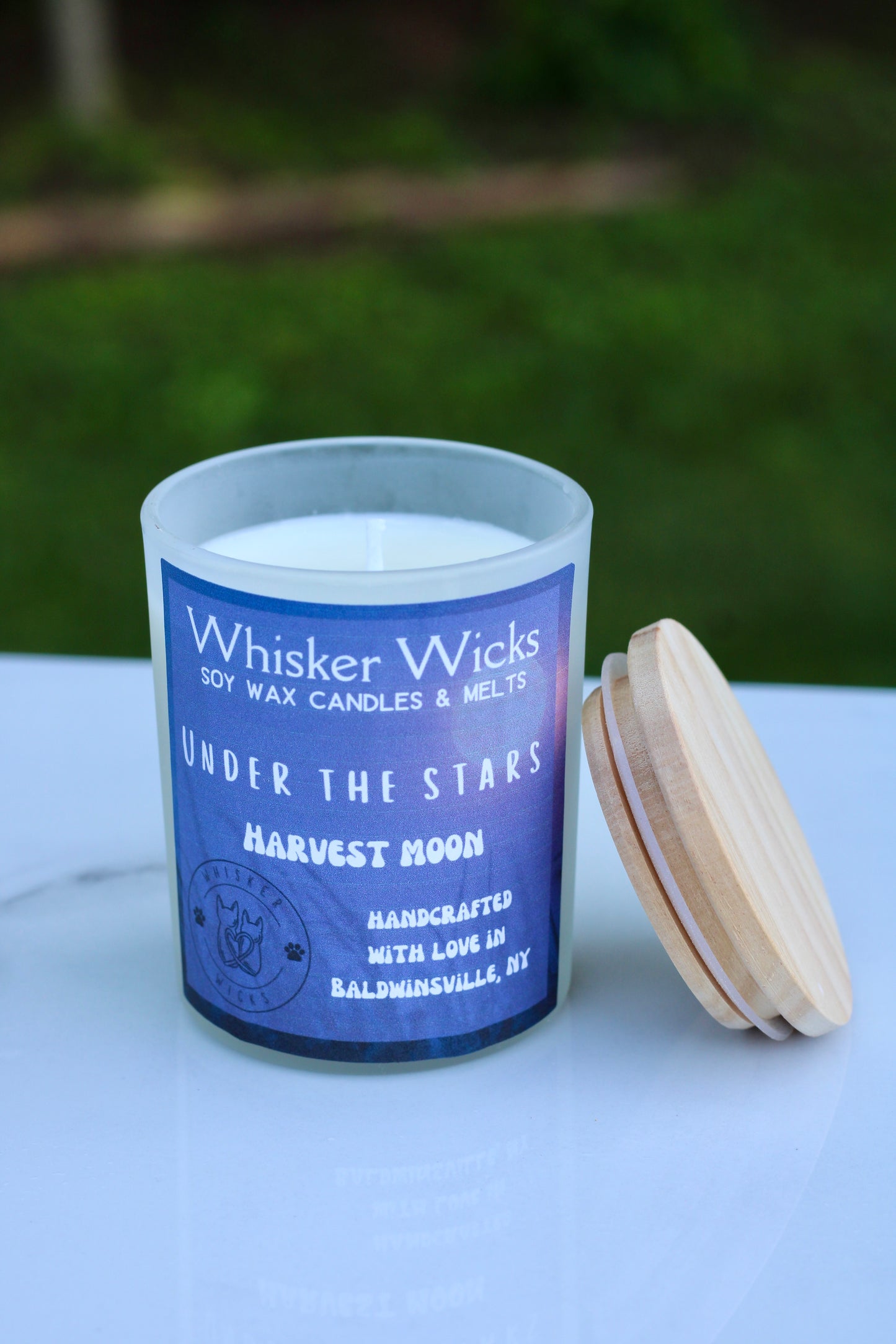 Whisker Wicks Summer Candles - Under the Stars