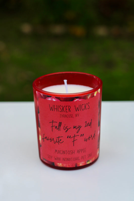 Fall is my 2nd favorite F word-Candle