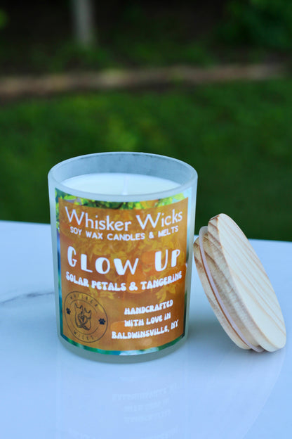 Whisker Wicks Summer Scents - Glow Up