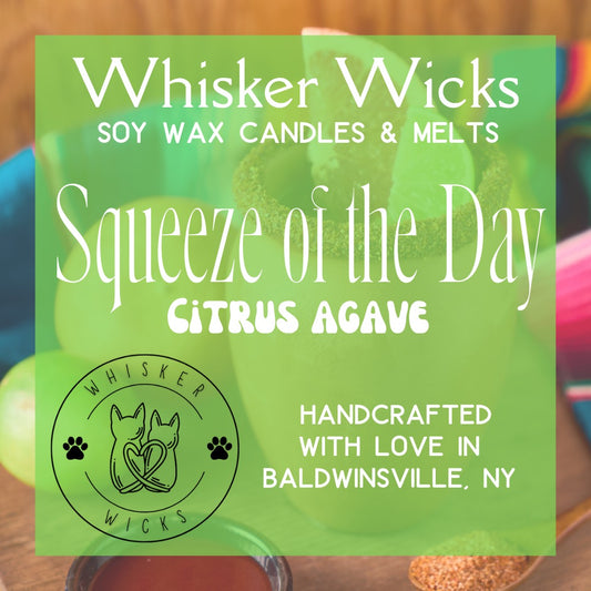 Whisker Wicks Summer Candles - Squeeze of the Day